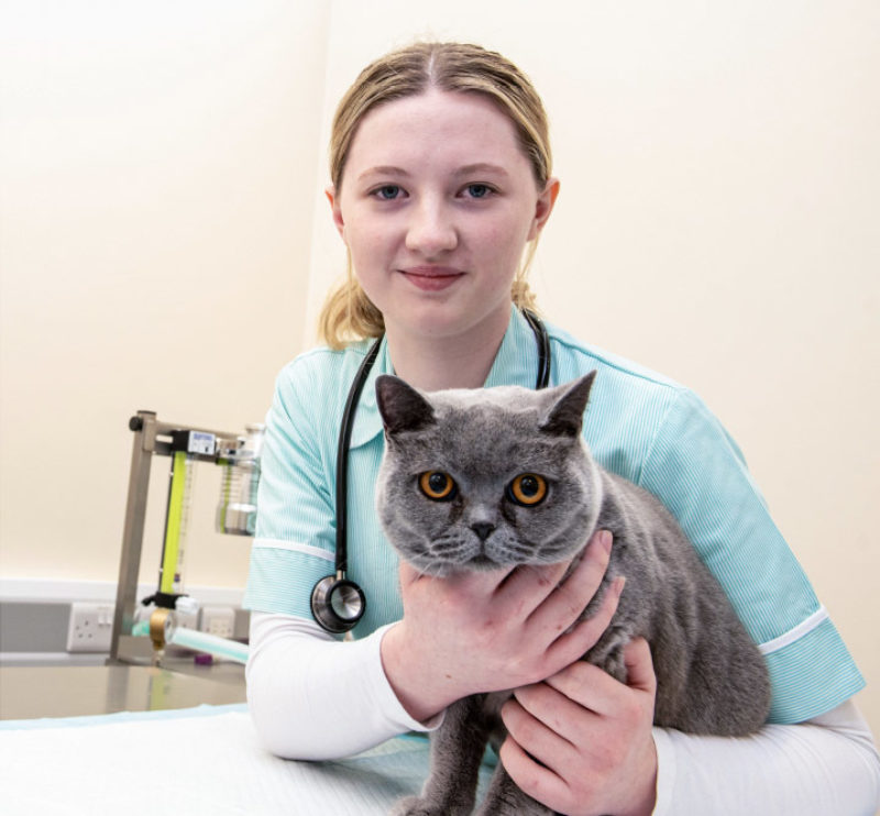 Young female student Grainne Turton holds a British Blue cat in NWRC's new veterinary nursing lab