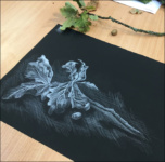 Still life drawing