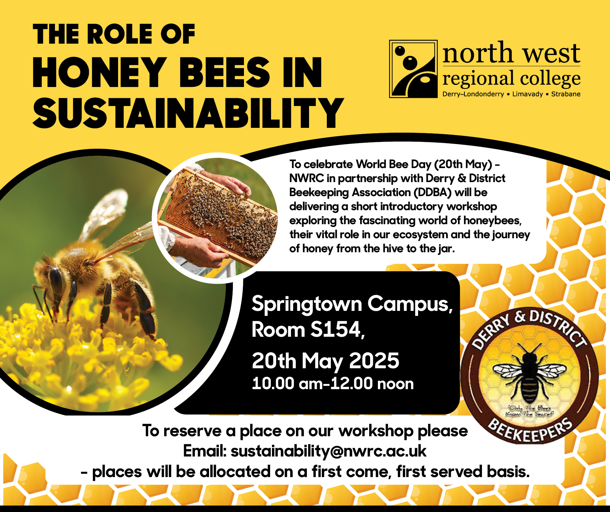 Bees in Sustainability Event Linked In and X