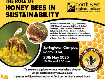 The role of honey bees in sustainability