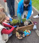 group planting flowers