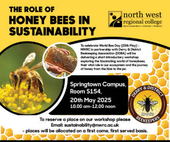 The role of honey bees in sustainability