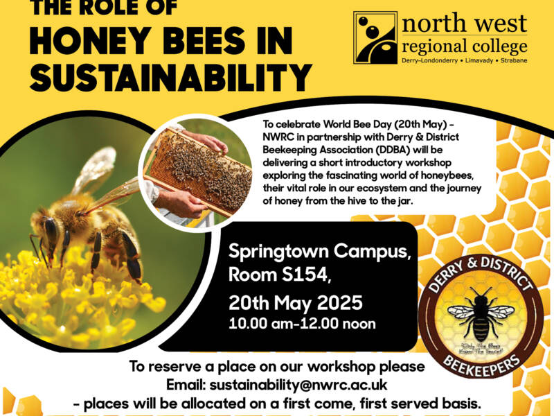 The role of honey bees in sustainability