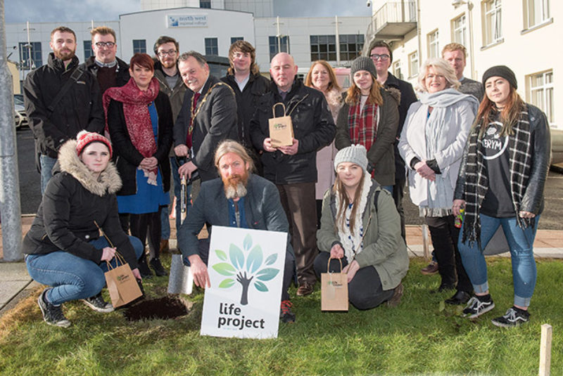 Life Tree Derry0602183 nwrcweb