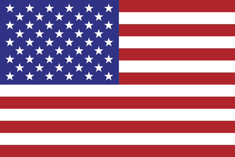 US Flag web