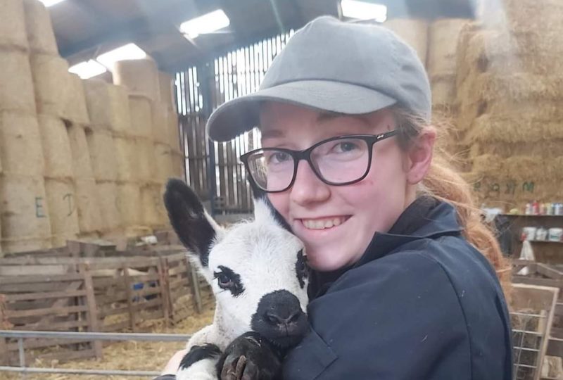 Woman in a baseball cap standing in a barn holding a baby calf. She is wearing glasses and smiling